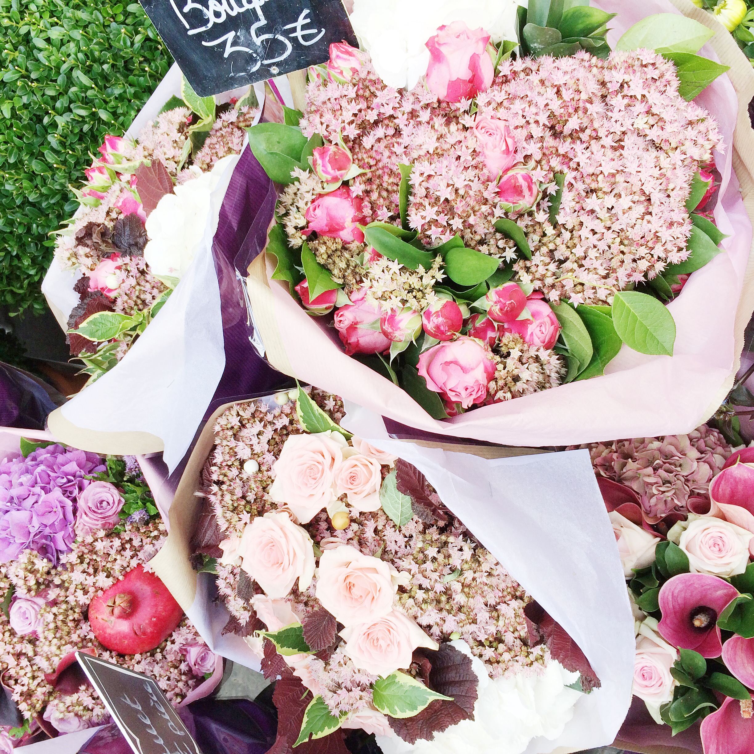 Beautiful sidewalk floral finds from our Parisian vacation on b is for bonnie design