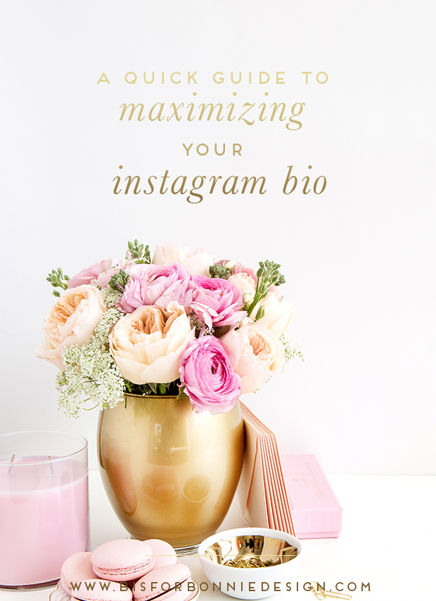 a quick guide to maximizing your instagram bio via b is for bonnie design